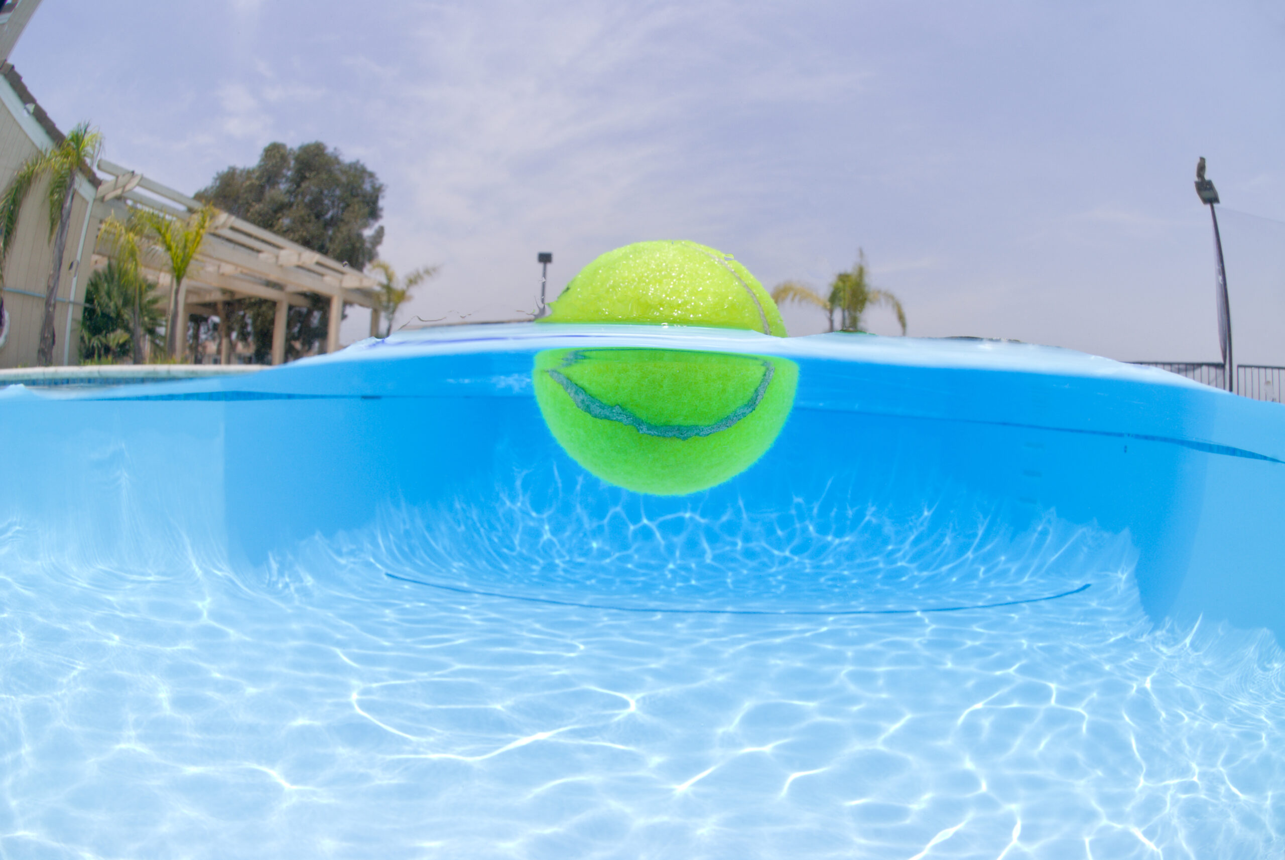 tennis ball in pool 2024 10 11 07 40 03 utc scaled
